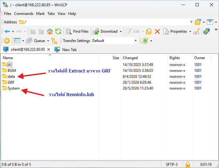 WinSCP วางไฟล์ในโฟลเดอร์ data และ System บนเซิร์ฟ RoPlay
